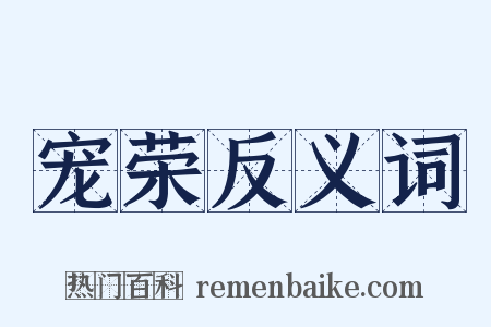 宠荣反义词是什么意思的图片